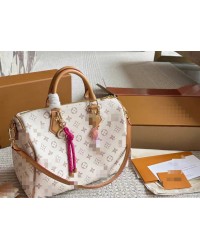 Louis Vuitton best-selling bags 1