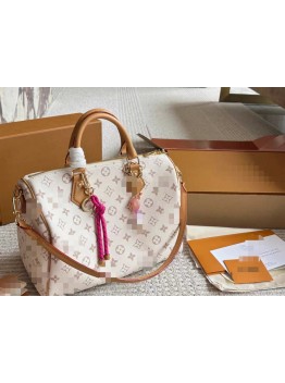 Louis Vuitton best-selling bags 1